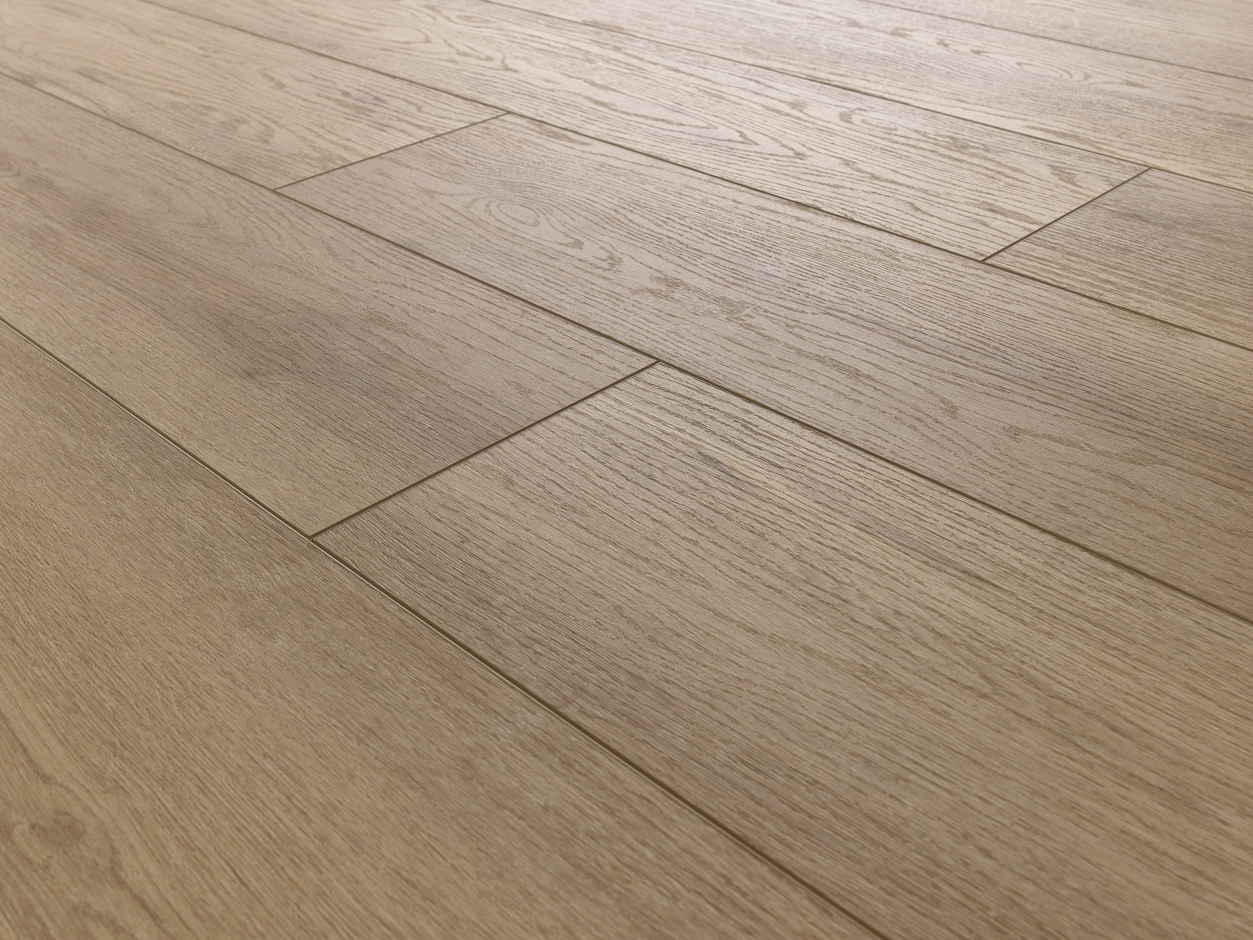 Belford Oak (1)