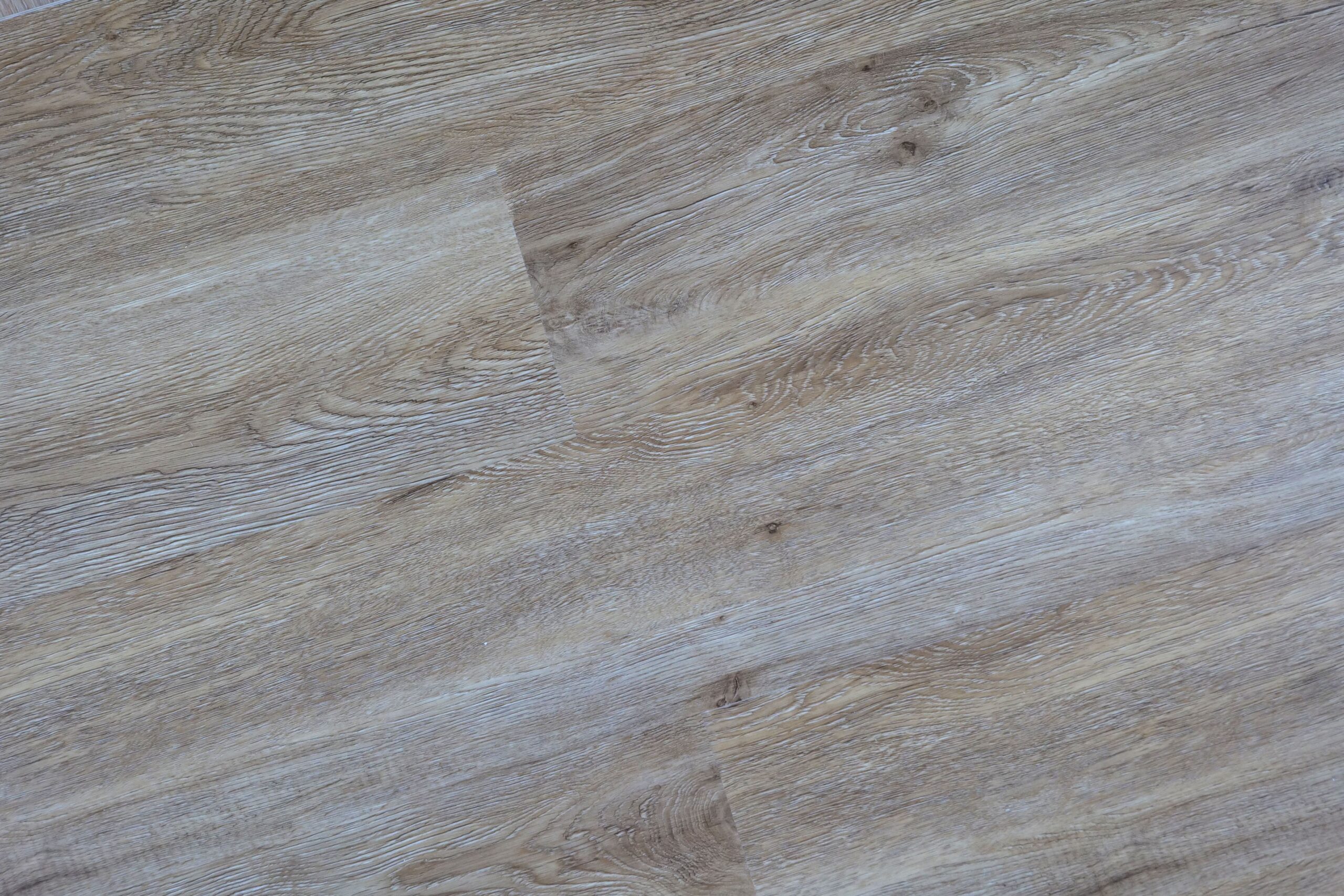 S006-2 Oak Borneo (2)