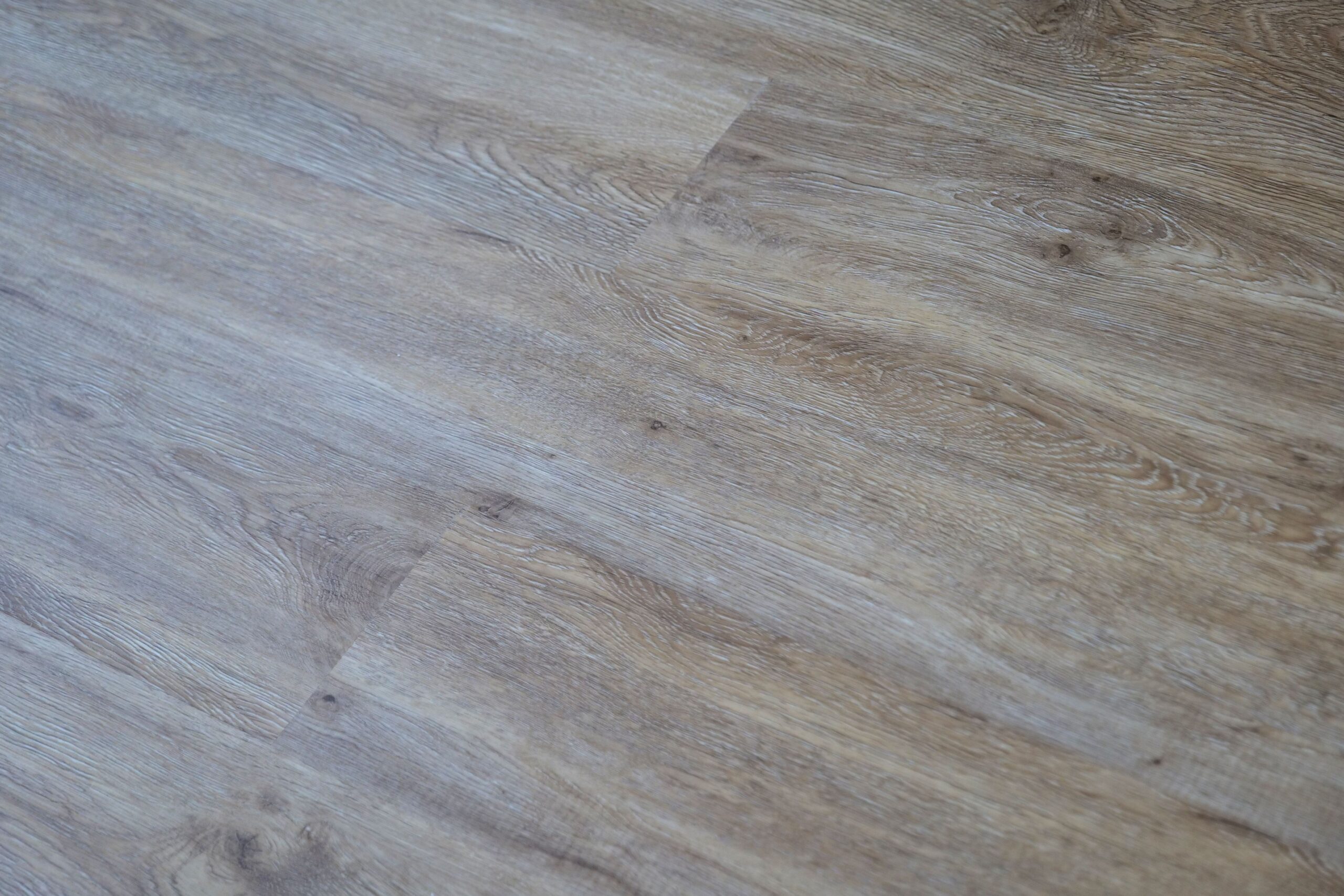 S006-2 Oak Borneo (3)