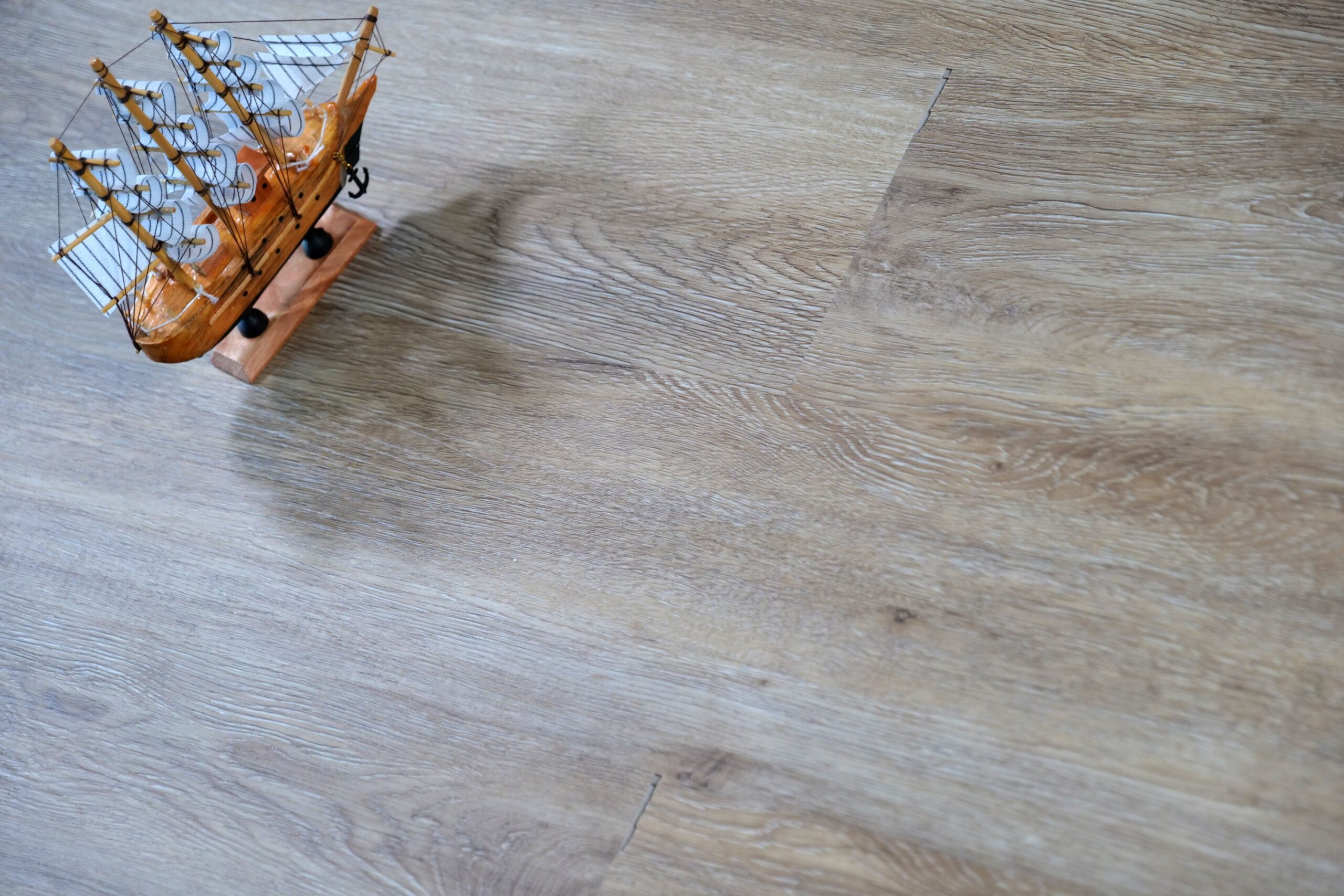 S006-2 Oak Borneo (4)
