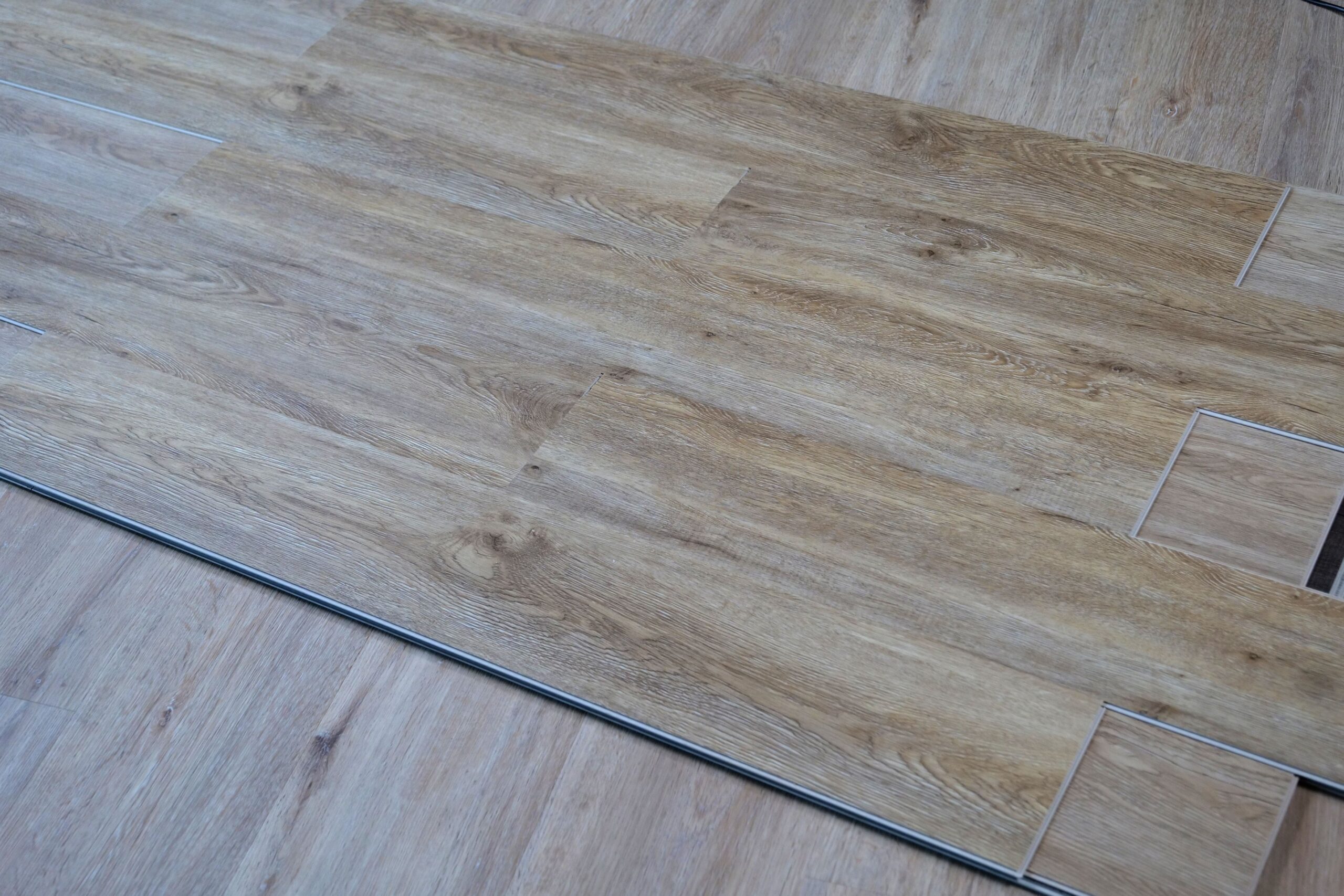 S006-2 Oak Borneo (5)