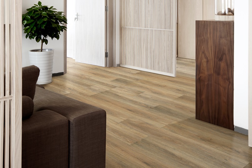 camaro_oak_NT.13_int_sait