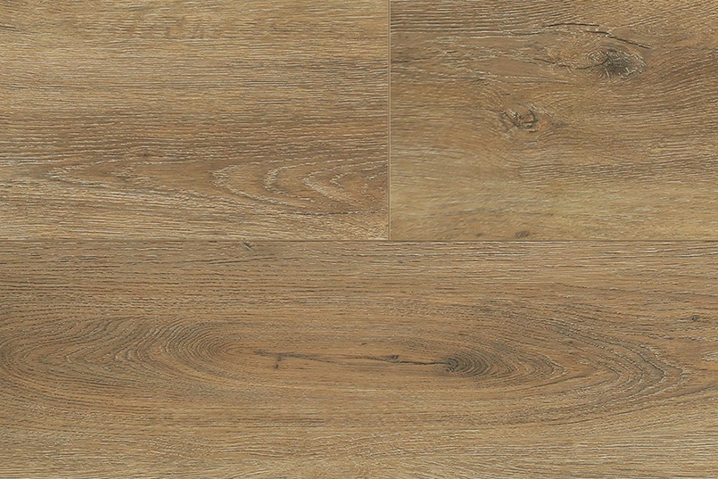 camaro_oak_NT.13_sait_1