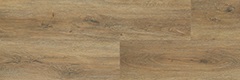 camaro_oak_NT.13_sait_sm