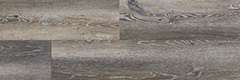 storm_birch_NT.12_sait_sm