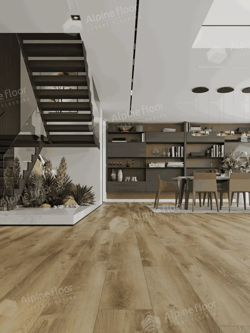 eco24_5_11zon