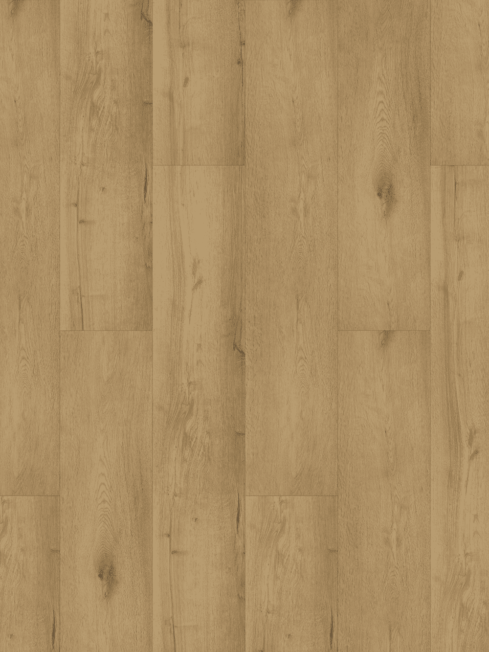 601 TOPSHOT WEB