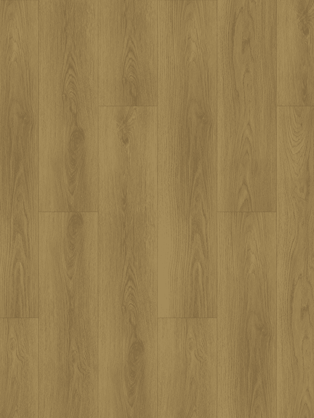 603 TOPSHOT WEB